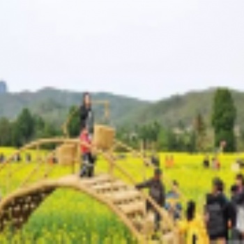 2019歡迎:泰興創意草編造型設計公司 - 泰安民間工藝品