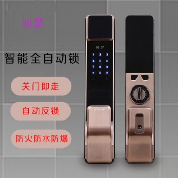 廠家指紋密碼鎖智能鎖防盜門電子鎖全自動指紋鎖智能門鎖現貨