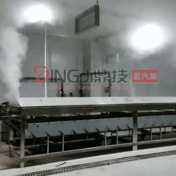 常熟DINGJI鼎技農(nóng)用蒸汽能源，農(nóng)用低氮蒸汽能源