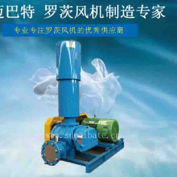 廠家羅茨鼓風(fēng)機(jī)三葉羅茨風(fēng)機(jī)羅茨曝氣風(fēng)機(jī)水底增氧機(jī)羅茨風(fēng)機(jī)