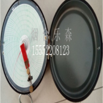 單筆XGJ型圓圖自動(dòng)平衡記錄(調(diào)節(jié))儀 簡(jiǎn)單操作 易上手