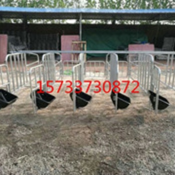滄州 豬場(chǎng)母豬限位欄定位欄國標(biāo)熱鍍鋅2.5