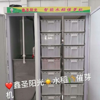 水稻發(fā)芽機 商用大型種子催芽發(fā)芽機 各種種子催芽 水稻育苗機