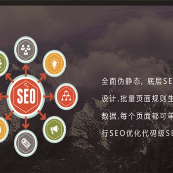 青島seo關(guān)鍵詞優(yōu)化，搜索引擎優(yōu)化