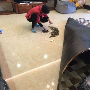 家庭供水管漏水檢測(cè)，工廠消防管漏水檢測(cè)，暗管漏水檢測(cè)