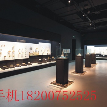 深圳專業博物館展示柜制作廠——廠家