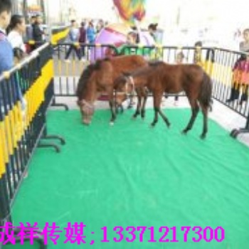 萌寵租賃海洋生物展覽大象表演