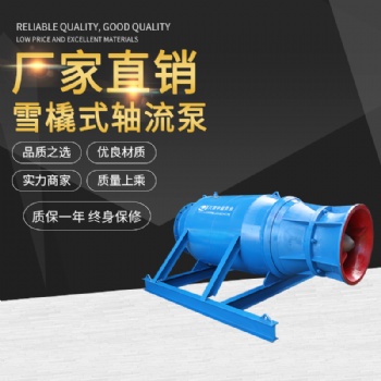 大流量潛水軸流泵 專業(yè)潛水軸流泵廠家 質(zhì)優(yōu)價(jià)廉品牌