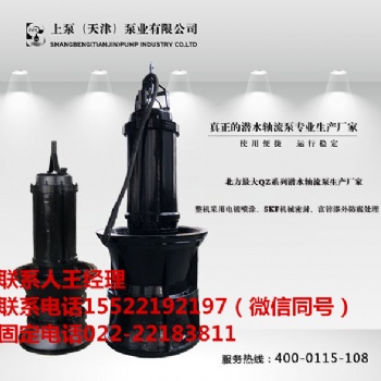 福建福州潛水軸流泵生產(chǎn)廠家