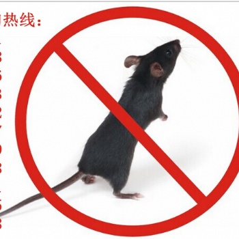滄州專業滅鼠、滅蟑、滅蚊蟲，酒店、商業廣場、**、超市的除蟲