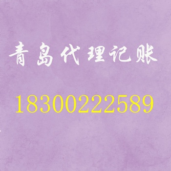專業(yè)代理公司注冊，代理記賬、出口退稅