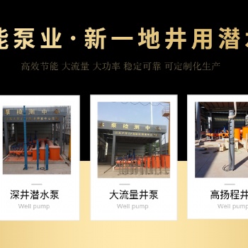 潛水井泵德能泵業天津有限公司