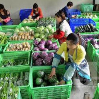 企石食堂承包、蔬菜配送公司、團體餐配送
