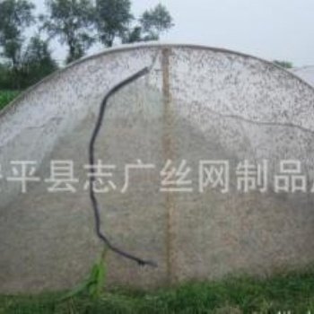 加寬的新料的螞蚱網批發全新料的蝗蟲網