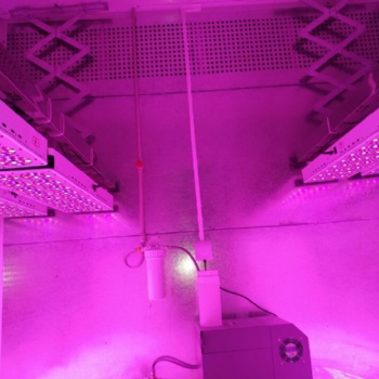 實(shí)驗(yàn)室建設(shè)工程人工氣候室那里做