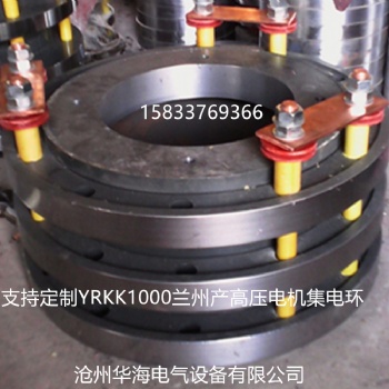 高壓電機集電環 蘭州電機廠產電機滑環YRKK1000-8