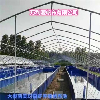 大型養(yǎng)殖魚池帆布池批發(fā) PVC帆布水池 刀刮布養(yǎng)殖帆布魚池圖片