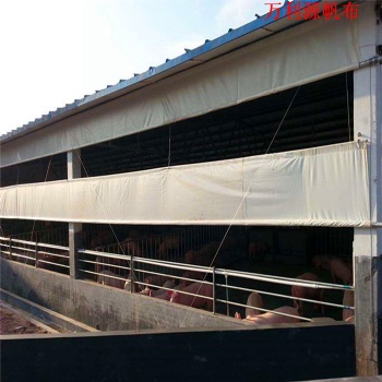 甘肅大型養(yǎng)殖場(chǎng)卷簾布定做廠家 牛場(chǎng)卷簾布 羊場(chǎng)卷簾布 豬場(chǎng)卷簾布圖庫(kù)