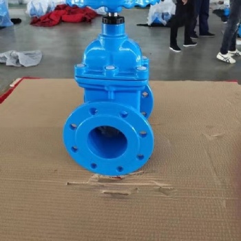 江陰埃庫斯Z45X-DN100暗桿彈性座封閘閥