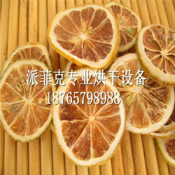 檸檬片熱循環(huán)空氣烘干機(jī)