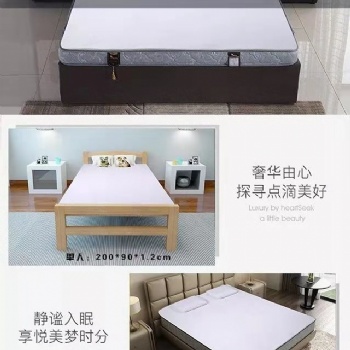 多功能養(yǎng)生床墊 時(shí)尚簡(jiǎn)約 天然乳膠防蟲(chóng)防螨床墊