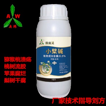 預(yù)防獼猴桃潰瘍病 采果后潰腐靈刷干清園很關(guān)鍵