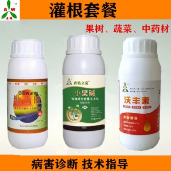 番茄根結(jié)線蟲(chóng)病植株黃化 有機(jī)農(nóng)藥青枯立克水劑