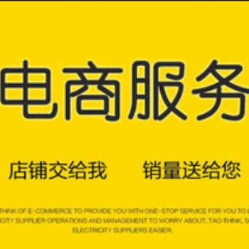 電商顧問 電商團(tuán)隊培訓(xùn)