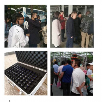 北京租賃跟隨講解器耳機一人講多人聽質(zhì)量好