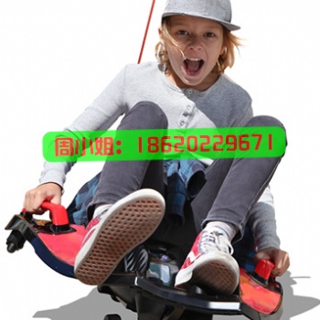 2019新款童車玩具車平衡車電動(dòng)溜溜車