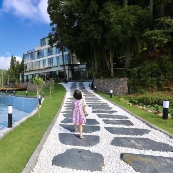 天然青石板花園踏步石汀步石腳踏石園林景觀圓形不規(guī)則草坪石