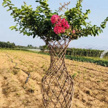 紫薇花瓶，海棠花瓶，花瓶骨架，花瓶模具
