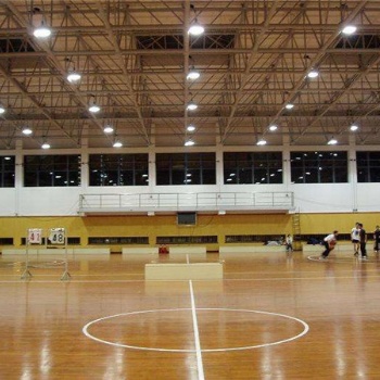 室內籃球館木地板 羽毛球館地板廠家供應