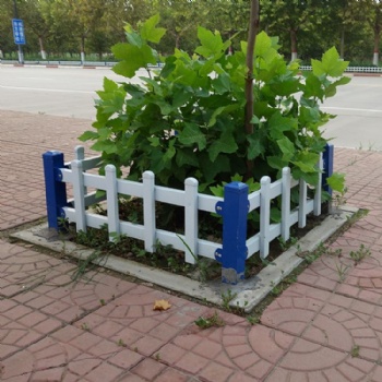 山東PVC草坪護(hù)欄 花園迷你小圍欄 匠之心廠家