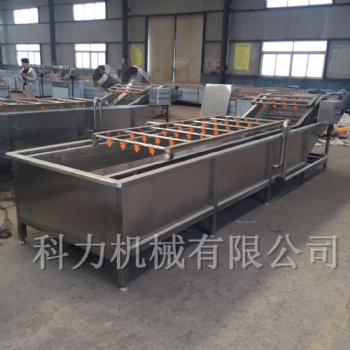 醬菜加工設備自動清洗機