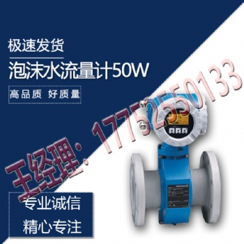 盾構機配件混合液流量計泡沫水流量計E+H 50W50-U****A現貨