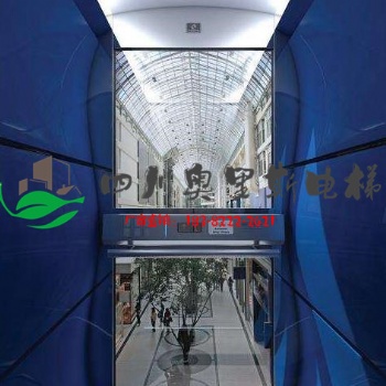 成都定制別墅電梯安裝，定制家用電梯報(bào)價(jià)表