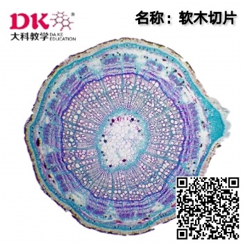 軟木切片顯微鏡生物玻片教學(xué)標(biāo)本河南大科