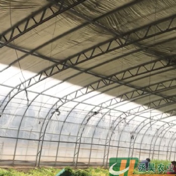 雙膜骨架大棚 雙梁雙膜溫室大棚 C型鋼大棚骨架 抗風(fēng)抗壓 螺絲固定拆卸方便