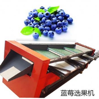 煙臺(tái)偉明藍(lán)莓分選篩子機(jī)器