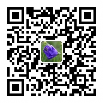 2021年德國杜塞爾多夫衛(wèi)生紙展