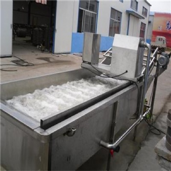 廠家供應(yīng)全自動(dòng)多功能大棗氣泡清洗機(jī)