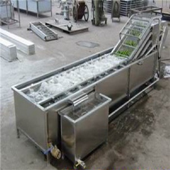 廠家供應(yīng)全自動(dòng)蔬菜清洗機(jī) 不銹鋼白菜去雜清洗機(jī)