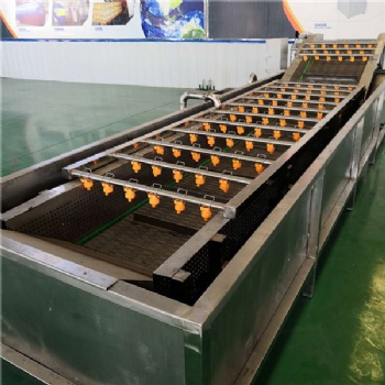 廠家生產(chǎn)全自動(dòng)蔬菜清洗機(jī) 秋葵氣泡清洗機(jī)