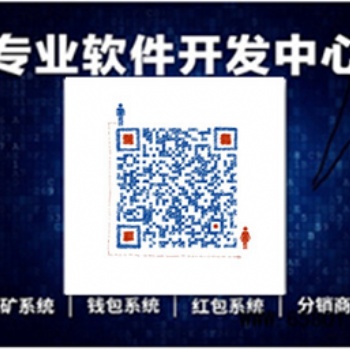 搶單系統軟件 開 發