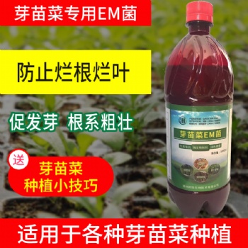 綠豆芽促長(zhǎng)增粗的辦法