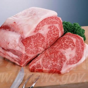 深圳進(jìn)口凍肉**代理公司