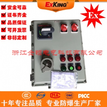 BXM-D防爆配置照明動(dòng)力配電箱配電柜控制箱