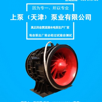 水利工程改造大流量QGWZ系列全貫流潛水泵廣東廠家