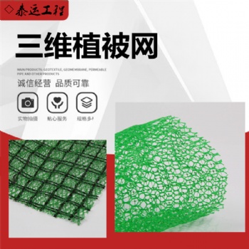 三維植被網(wǎng)廠家護(hù)坡綠化三維植被網(wǎng)em3耐腐蝕護(hù)坡三維網(wǎng)
